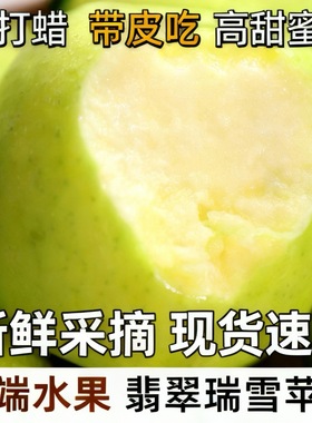 现摘瑞雪苹果玫瑰花香青黄平果纯甜应季水果新鲜青苹果产地直发