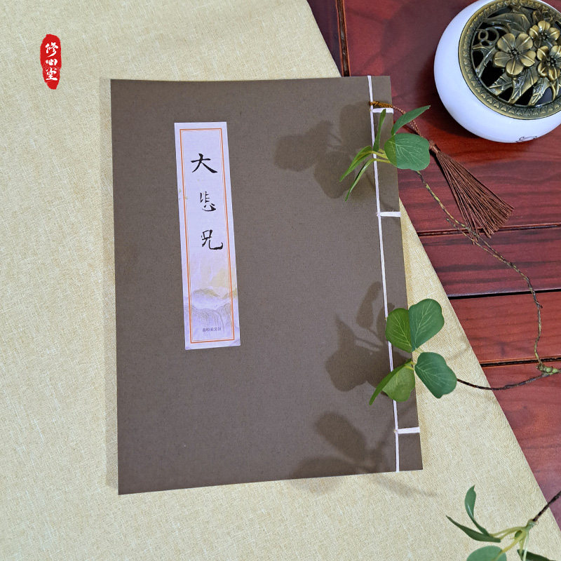 【灭霉晦运】大悲临摹字帖拼音版手抄本抄写本硬笔描红成人练字帖