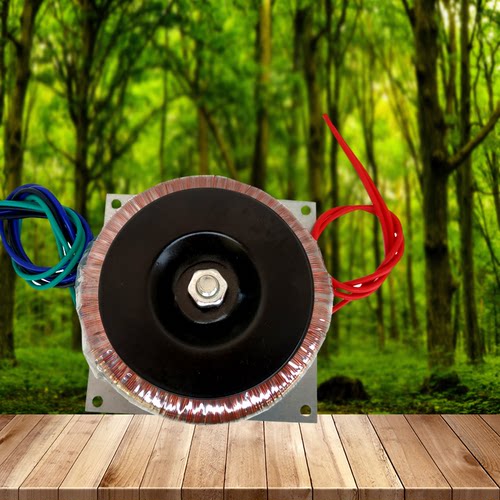 变压器24v双12V300W环牛