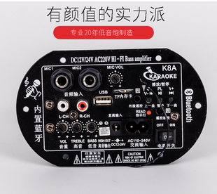 大功率藍牙功放板12V24V220V低音炮功放板音箱主板雙話筒內置藍牙