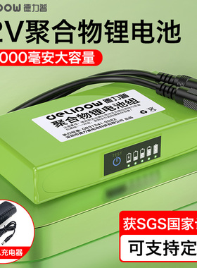 DLP12V聚合物锂电池组大容量户外便携移动电源24V大功率可充电