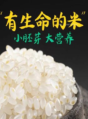 蟹田斤装宝宝粥每天现磨胚芽米