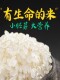 每天现磨 胚芽米 宝宝粥米 包邮 蟹田大米 正宗新磨胚芽米5斤装