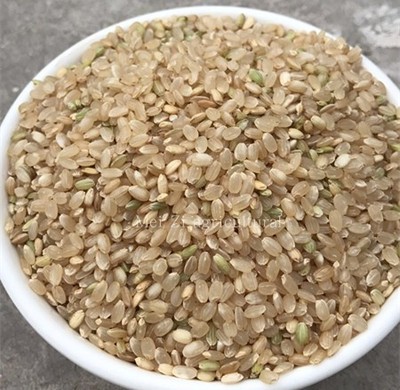 24年新米现磨糙米蟹田种植玄米 非转基因全国包邮5斤