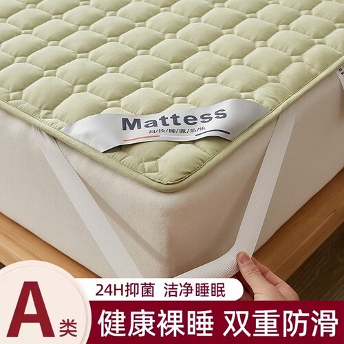 A类四季床垫榻榻米软垫床褥垫被褥子防滑席梦思床护垫床单床笠罩 - 封面