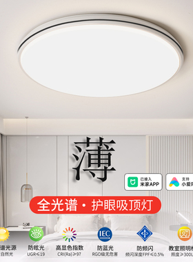 简约现代大气 2026 新款吸顶灯 卧室客厅灯 led 家用房间灯具
