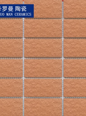 45×95mm橙红色带黑点麻面通体外墙砖纸皮砖阳台墙面装修9.5公分