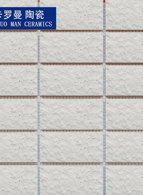 45×95mm白色黑点麻面通体外墙砖纸皮砖小区阳台瓷砖装修 9.5公分