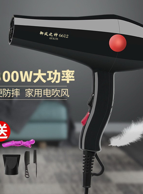 御风之神AIOLOS6612家用儿童学生宿舍宠物专业电吹风机1800w功率