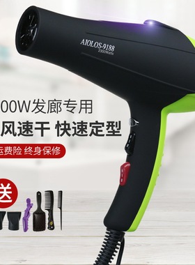 电吹风机家用御风之神AIOLOS-9188吹风机发廊专用负离子护发静音