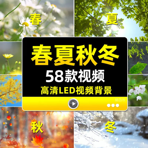 春夏秋冬led视频素材春天夏天秋天冬天四季变化雪景花草落叶背景