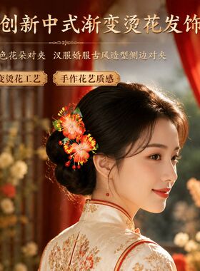对夹布新中式气质盘发边夹古风