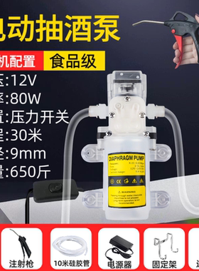 食品级抽酒专用泵电动自吸增压小型微水泵自带开关启停微型抽水泵