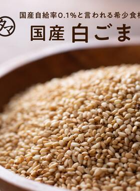 日本进口タマチャンショップtamatyan shop煎白芝麻70g