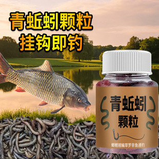 青蚯蚓颗粒钓鱼饵料窝料鲫鲤青草鲢鳙鳊鱼食聚诱发窝珠珠开口料野