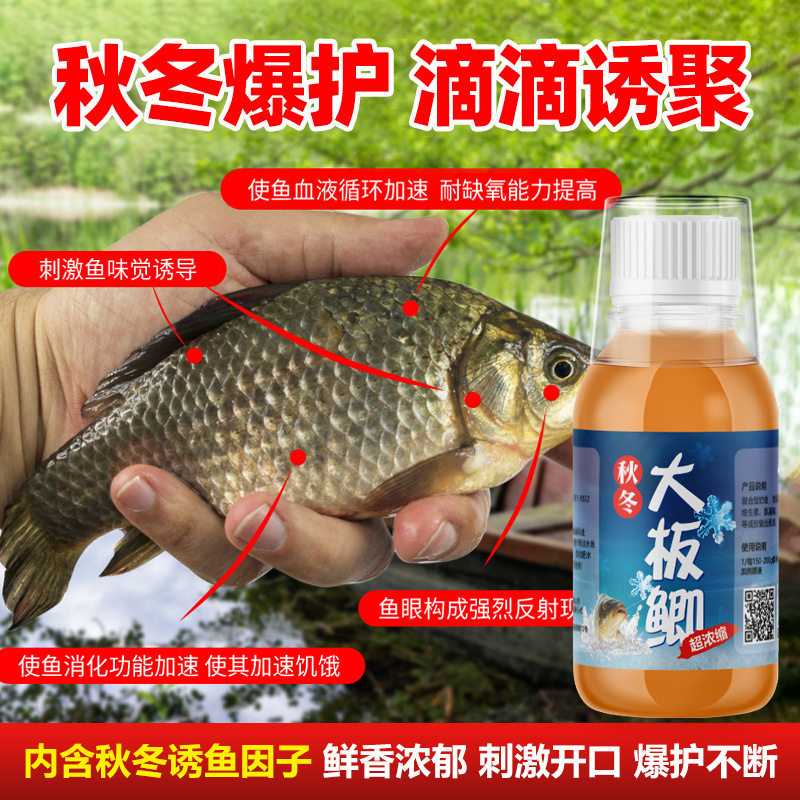 冬钓鲫鱼饵料野钓主攻鲫鱼小药黑坑江河大板鲫爆护专用窝料添加剂