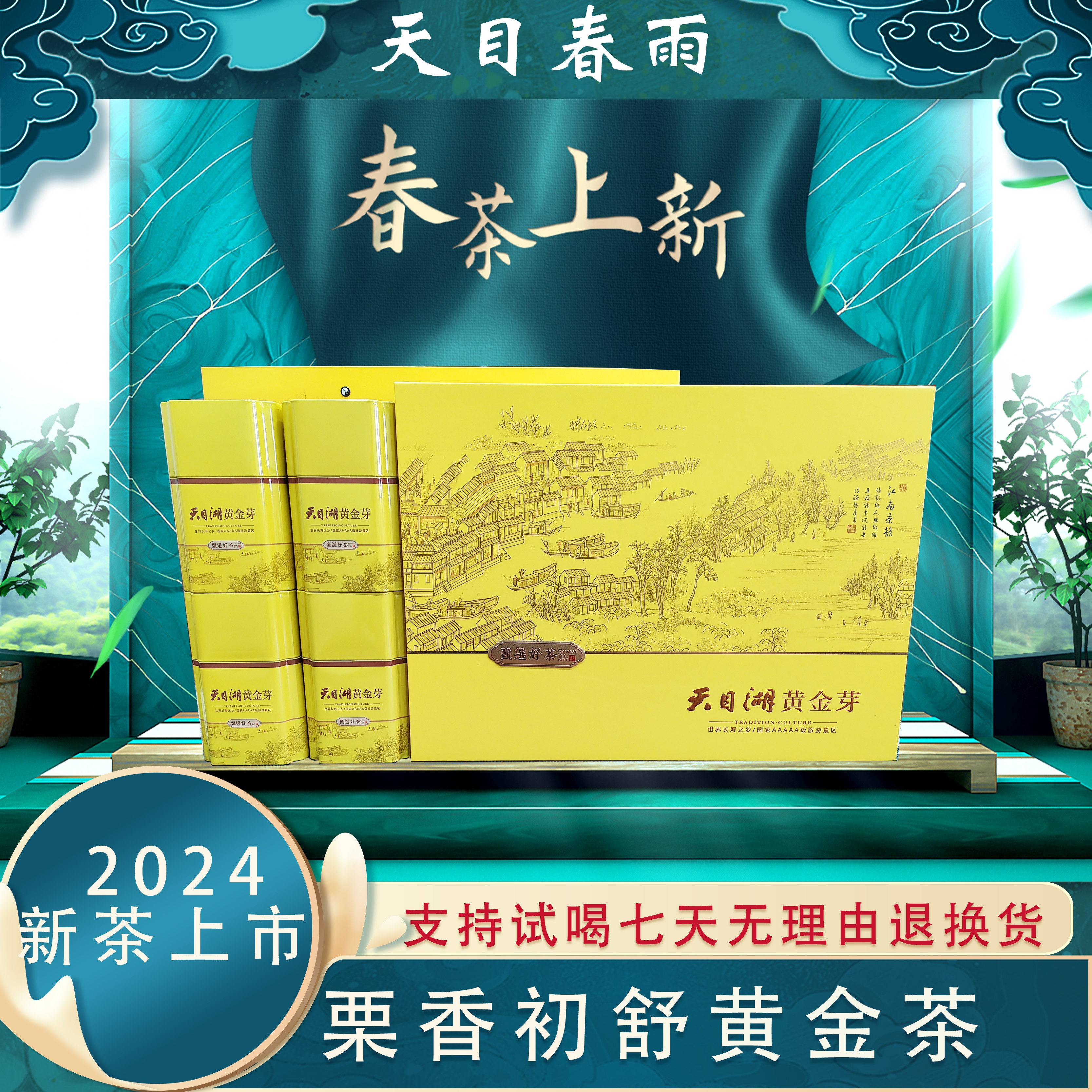 【2024初舒黄金茶】溧阳天目湖生态黄金茶栗香