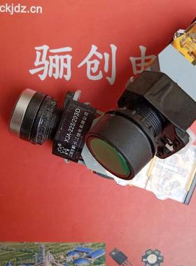 按钮开关XJA-22S 203D  ACDC220V 红色绿色开关骊创新品