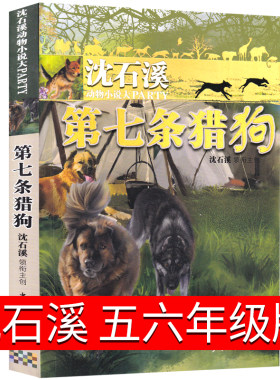 第七条猎狗 沈石溪正版六年级五年级四年级升级版小学生动物小说沈石溪的书全系列单本正版经典大王儿童文学课外书第7条猎犬