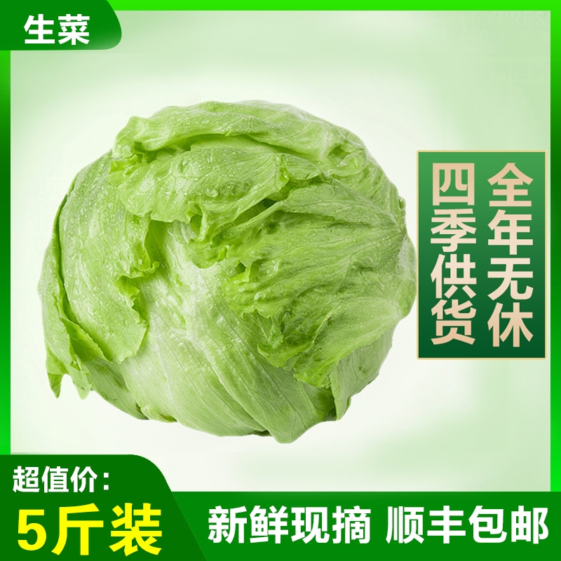 关晓彤同款球生菜新鲜即食