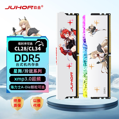 玖合星舞DDR5台式机内存条海力士