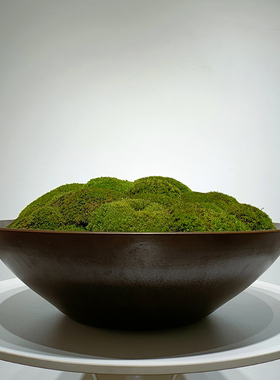 新中式苔藓样板间前台花艺盆景