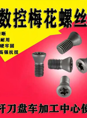 12.9级数控刀杆刀片刀盘螺丝M2M2.5M3M4M5车刀CNC梅花内六角螺丝