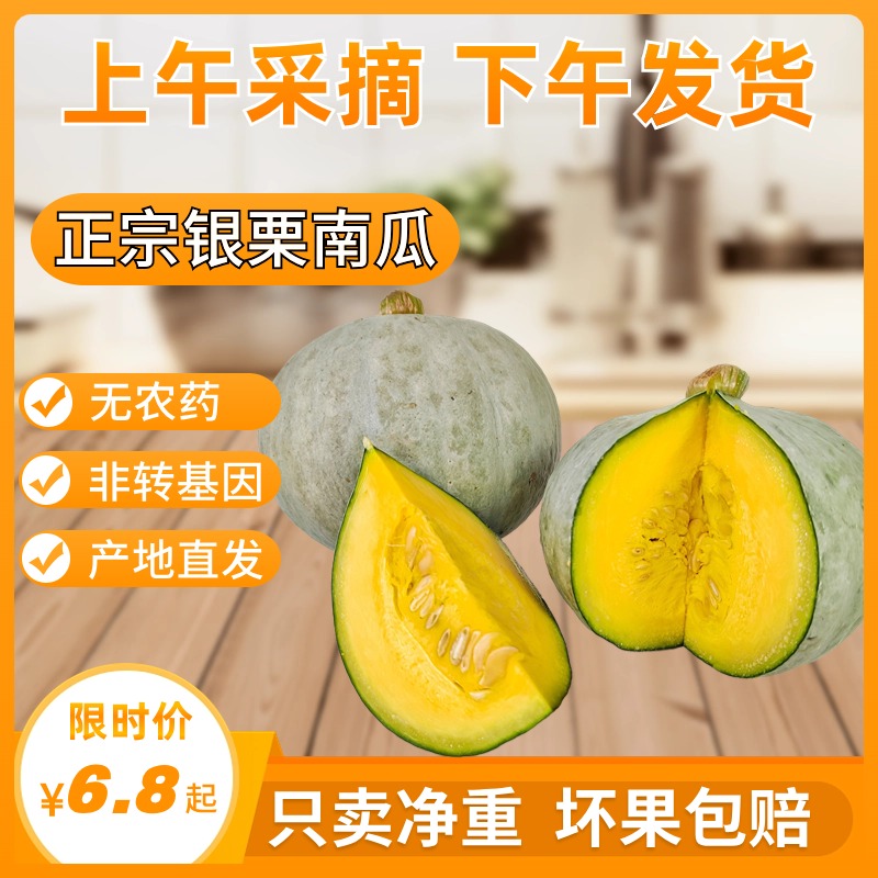 新疆银板栗南瓜奶油南瓜小南瓜粥贝贝南瓜粥软糯香甜粗粮宝宝辅食