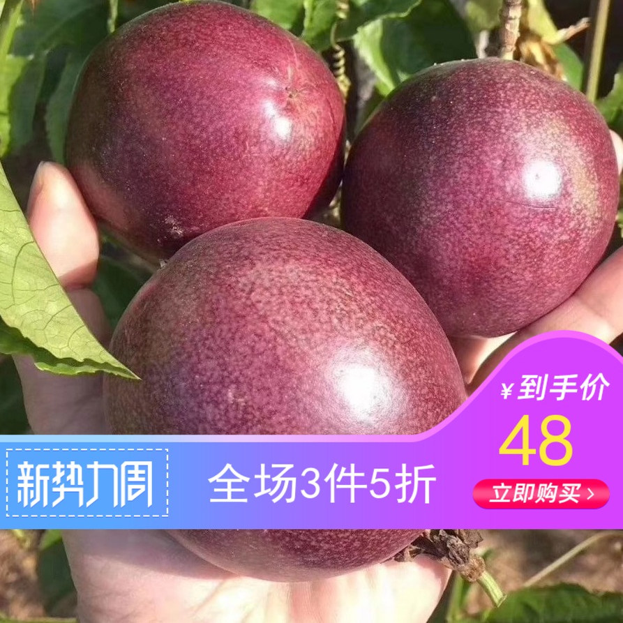 新鲜百香果西双版纳野生水果西番莲鸡蛋果现摘现发包邮