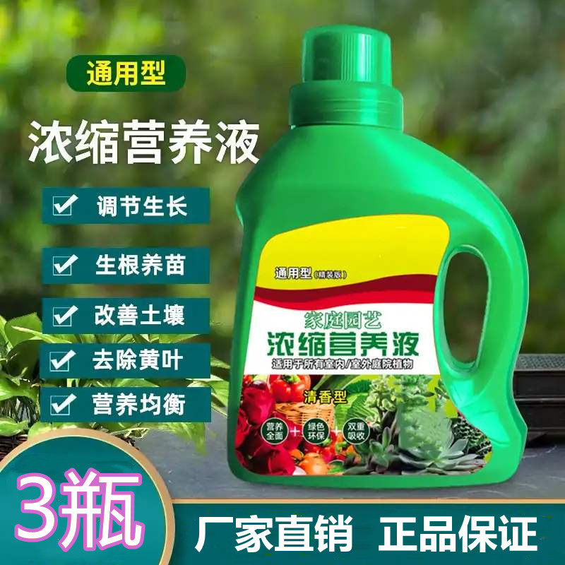 发财树长寿花水植增根壮花型浇花北京花神浓缩营养液通用用的大瓶