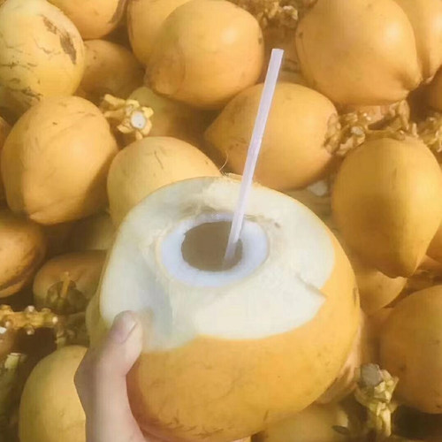 海南金椰子现摘椰子带皮