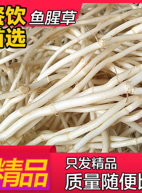 鱼腥草 新鲜现挖折耳根侧耳根茶 鱼星草【重量尾号为1的发顺丰】