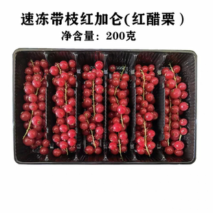 安德鲁法国乐果纷冷冻红有枝醋栗带枝红加仑子200G/1盒