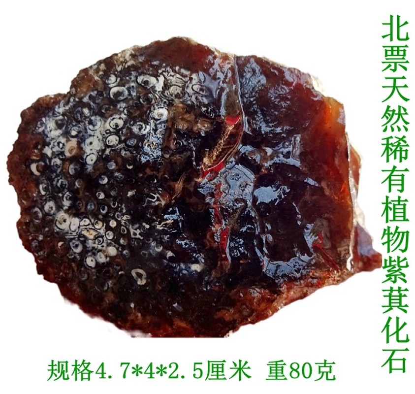 天然奇石观赏石硅化木树化玉稀有漂亮植物紫萁化石标本摆件2731
