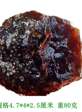 天然奇石观赏石硅化木树化玉稀有漂亮植物紫萁化石标本摆件2731