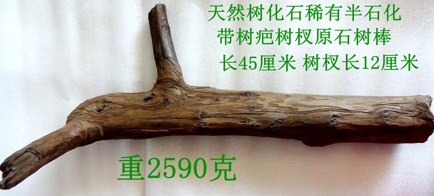 奇石观赏石树叶菊石模树石树化石火烧雷击木树疤树杈原石树棒2877