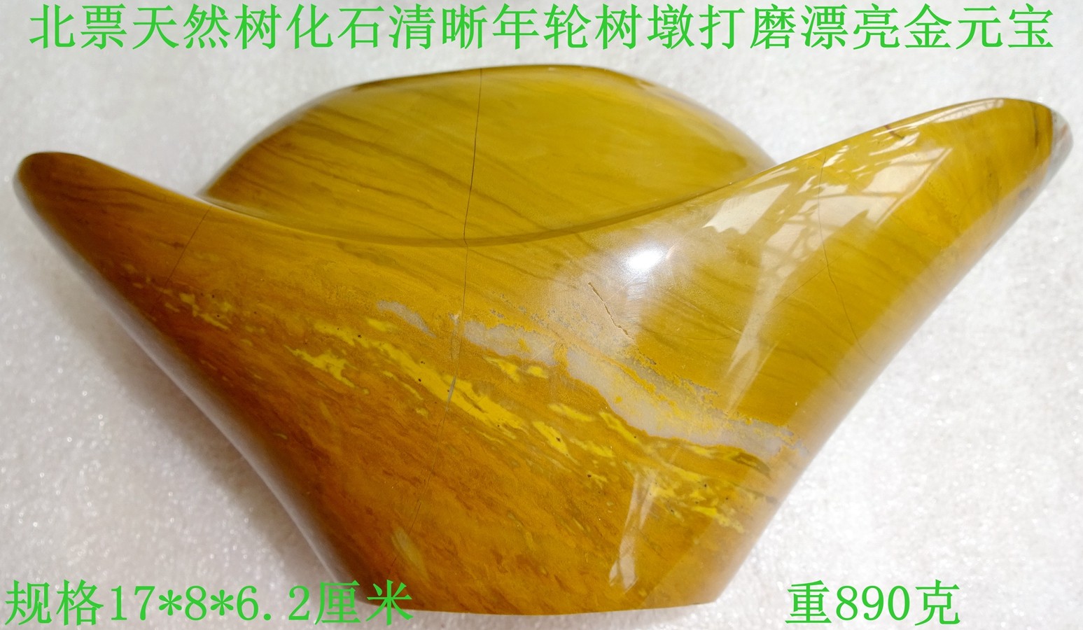 天然奇石观赏石菊石树化玉树化石清晰年轮树墩打磨漂亮金元宝2010