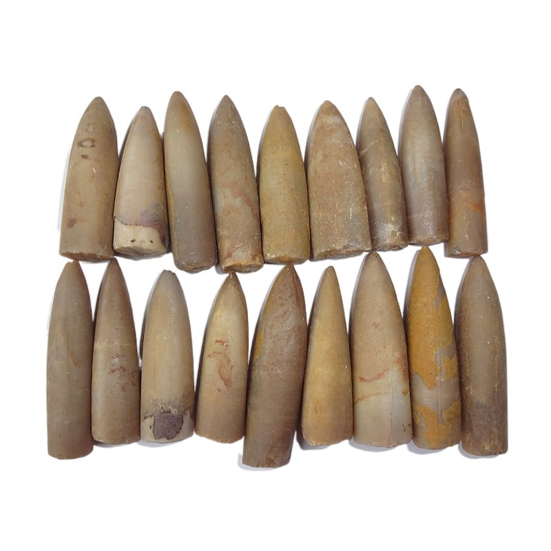 天然玉化箭石观赏收藏佳品