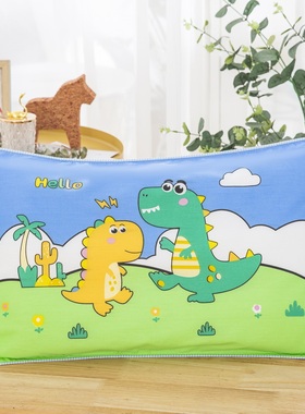 儿童男孩男童小恐龙全棉枕套30x50cm幼儿园枕芯套40x60纯棉枕头套