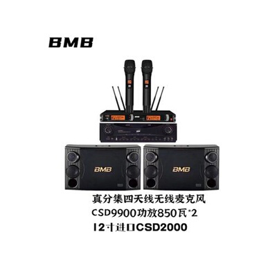 bmb CSD2000超重低音十寸12寸家庭KTV音响套装家用客厅卡拉OK音箱