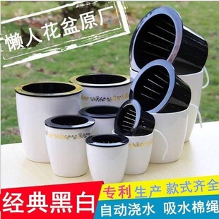 吸水盆栽好超大食虫植物带分株捕蝇草瓶子草爆盆巨大捕虫草食人花