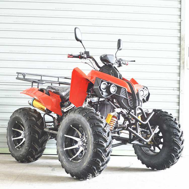 厂家出口产品250CC沙滩车  ATV 250CC全地形车 雪地摩托车卡丁车