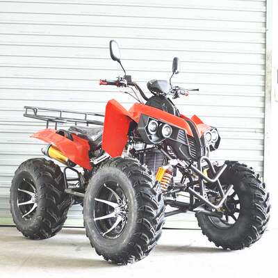 厂家出口产品250CC沙滩车  ATV 250CC全地形车 雪地摩托车卡丁车