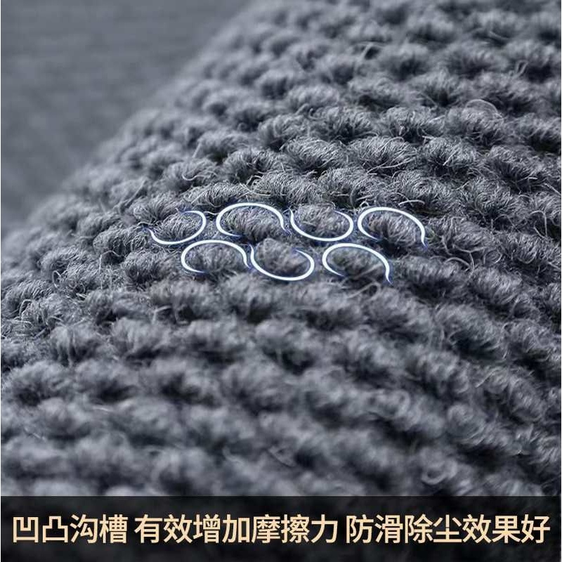 菠萝纹地垫入户门口室外口耐脏除尘酒店防滑垫电梯大门商场地毯