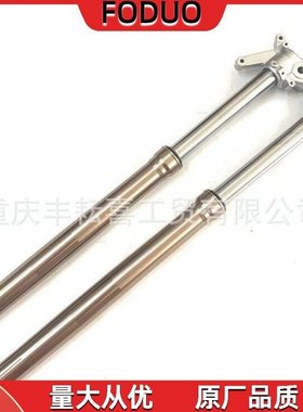 适用MOTOLAND利器极盗者1/3前减震避震器倒叉减震可调小孔减REGUL