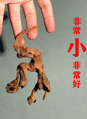 二马微型沉木20cm 迷你缸用 ADA水族 斗鱼缸造景精品沉木小号小型