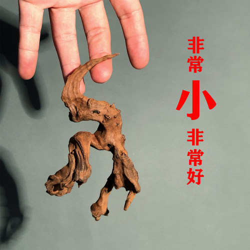2代小米缸20cm内超小微景观沉木