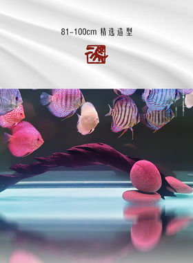 二马81-100cm拱桥型沉木树桩 大号 大型 天然鱼缸造景 精品紫柚木