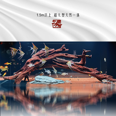 超大型大号精品南美天然一体沉木