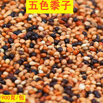 鸟食红黍子混合粮带壳鹦鹉